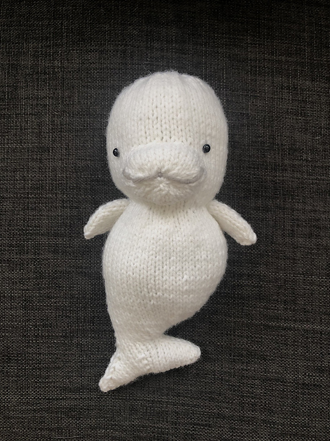 Beluga Whale