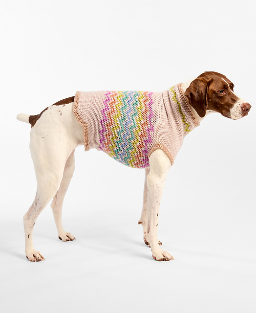 Pawliday Cheer Dog Sweater
