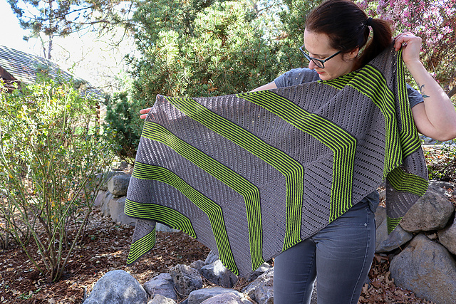 Viedma Shawl