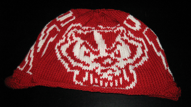 University of Wisconsin Ski Hat Kit