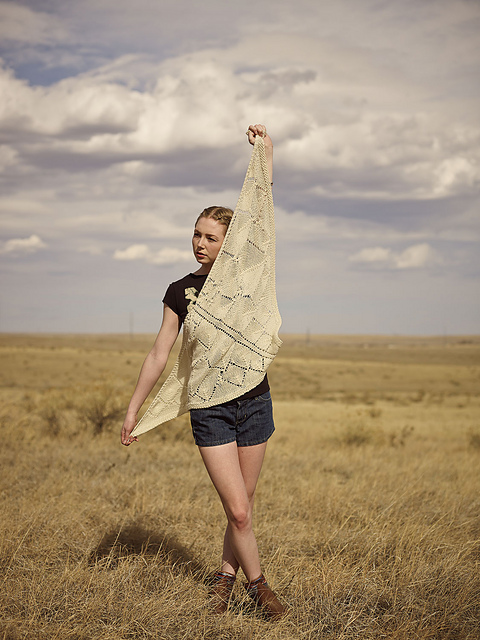 Corvus Shawl