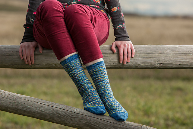 Daisy Field Socks
