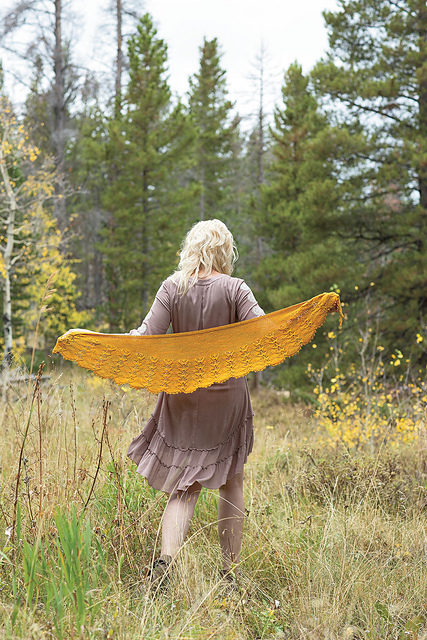 Arnica Shawl