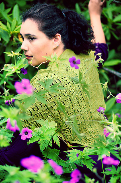 Rosemarie's Garden Shawl