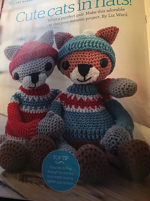 Cute Cats in Hats
