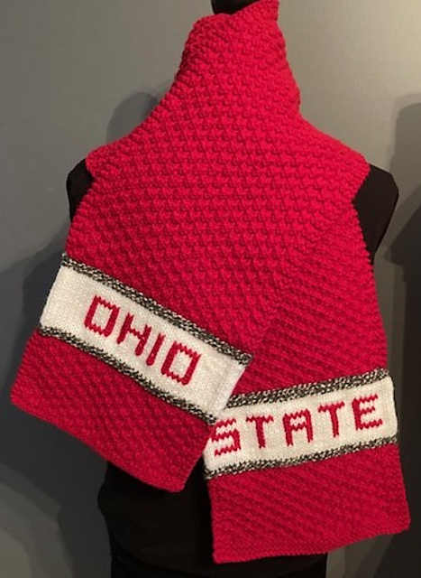 His Ohio State Scarf
