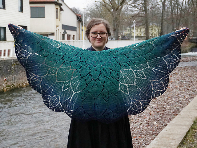 Sempervivum shawl