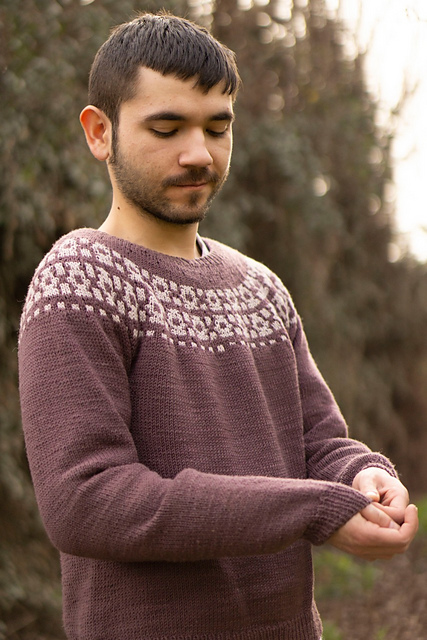 Sweater Alma