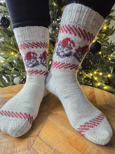 Mr Whiskers Socks