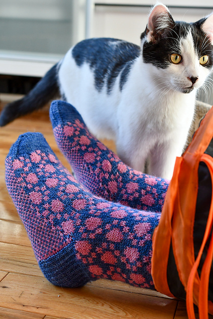 Paws On!