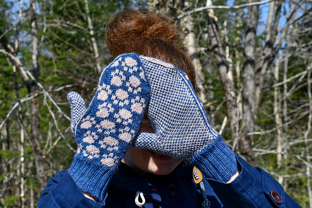 Paws Up Mittens
