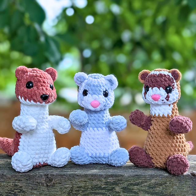 Weasel, Sable Ferret and Black Footed Ferret