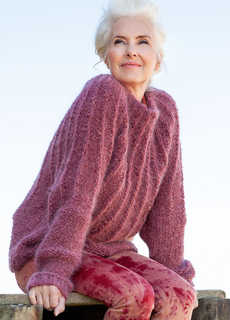 17 Pullover mit  Rundpasse