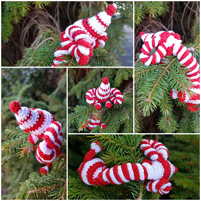 Candy cane Dachshund