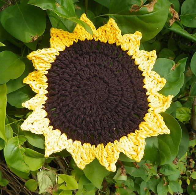 Sunny Kitchen Cloth