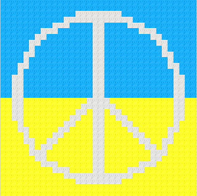 DISARM c2c pillow