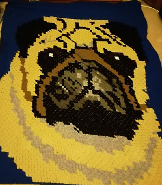 double pug blanket
