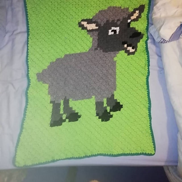 sheep picture