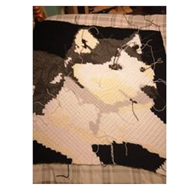husky 2 c2c throw