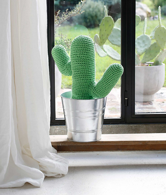 Cactus géant d'Arizona