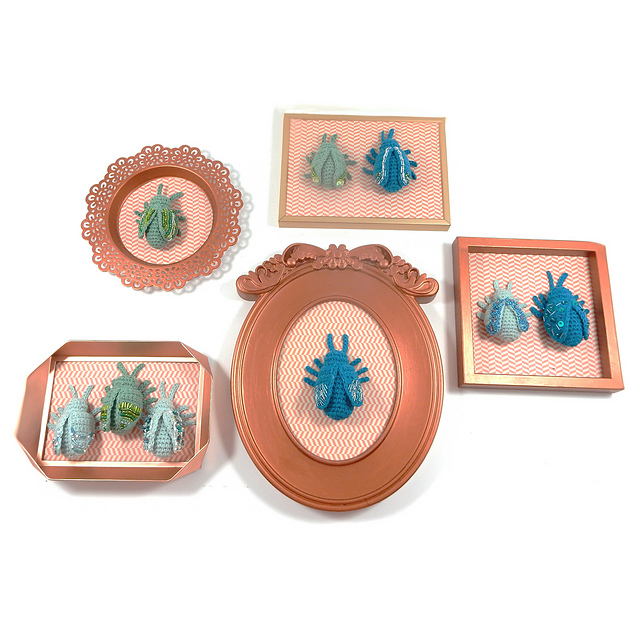 Collection de coléoptères