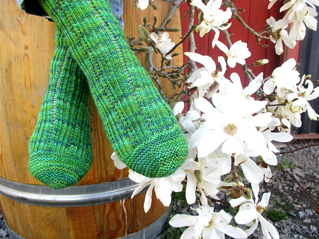 Simple Trail Socks