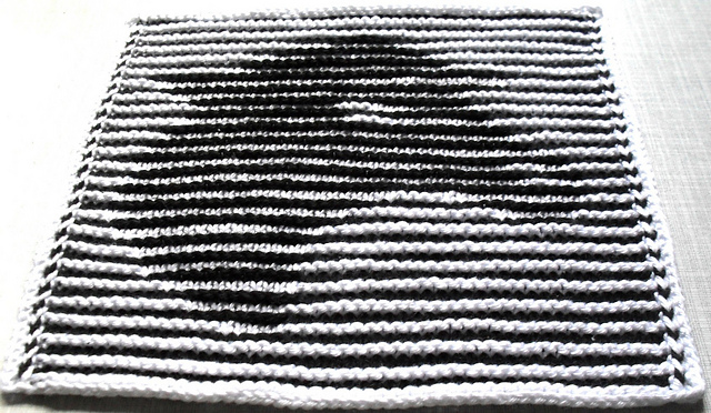 Portrait eines Schafes