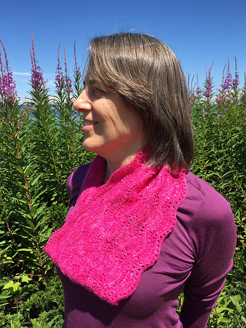 La Jolla Shores Cowl