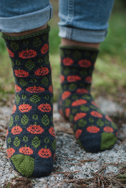 Pumpkin Patch