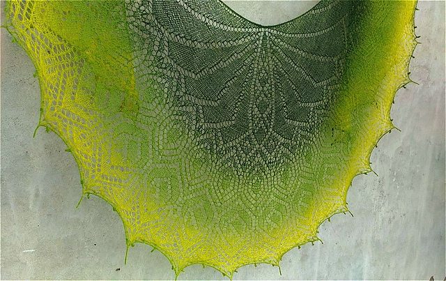Wings of autumn Shawl