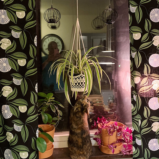 Astrid Plant hanger