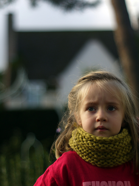 Squidge Cowl