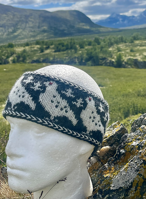 Fjellrypa Pannebånd