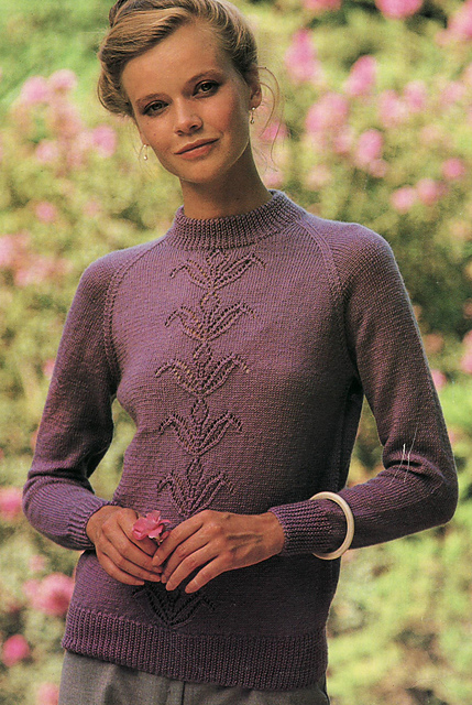 Woman's Lace Panel Sweater