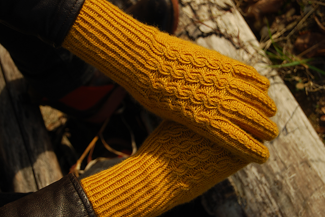 Susanna Fingerhandschuhe  / gloves