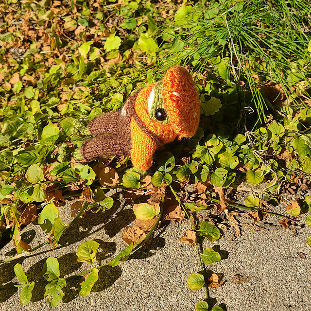 Froggy's Mushroom Hat