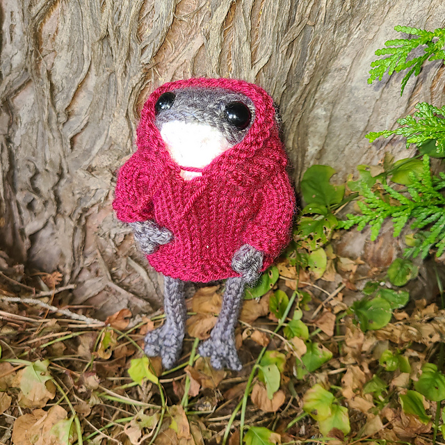 Froggy's Hoodie