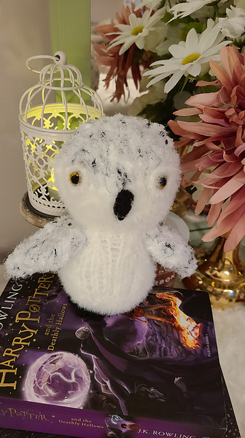 Albert the Baby Snowy Owl