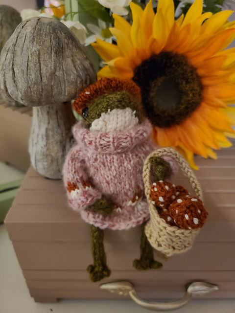 Froggy’s Cottagecore Set
