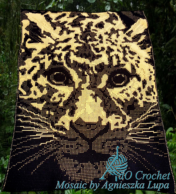 Leopard up and Close