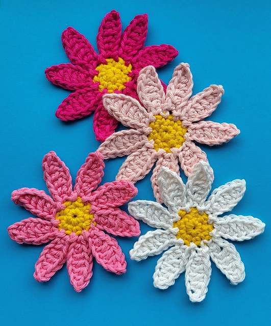 Summer Daisy Flower