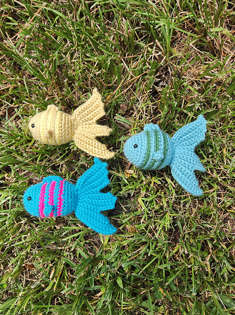 Colorful Fish