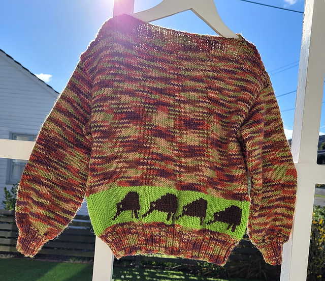 Kiwi Jumper for toddlers