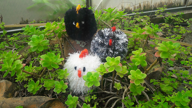 Hen egg cosie