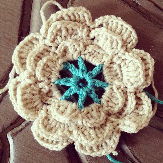 Flower Beauty