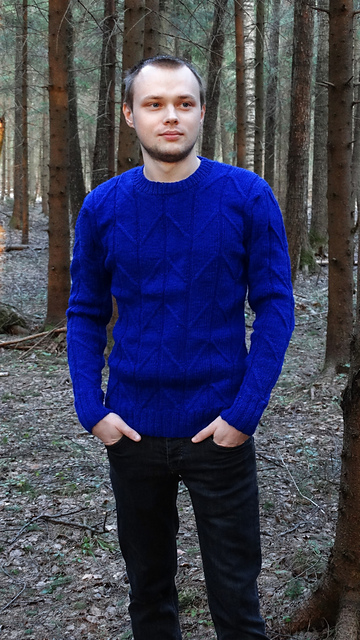 Navy Blue Casual Pullover