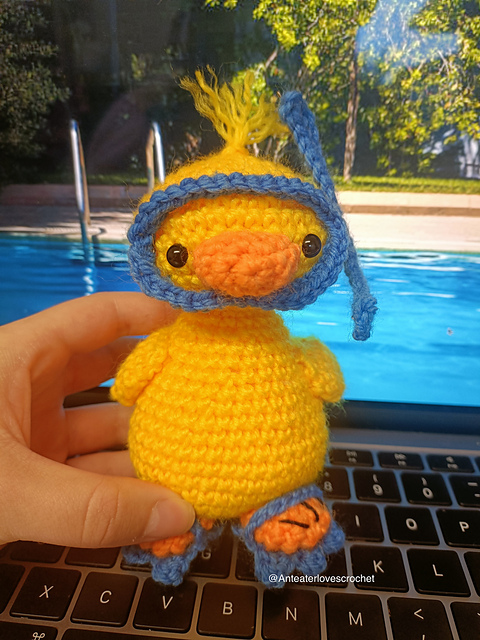 Diver Duck