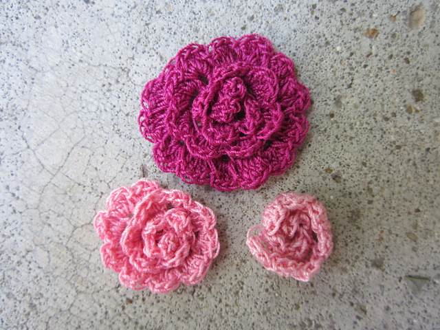 Cabbage Rose / Peony