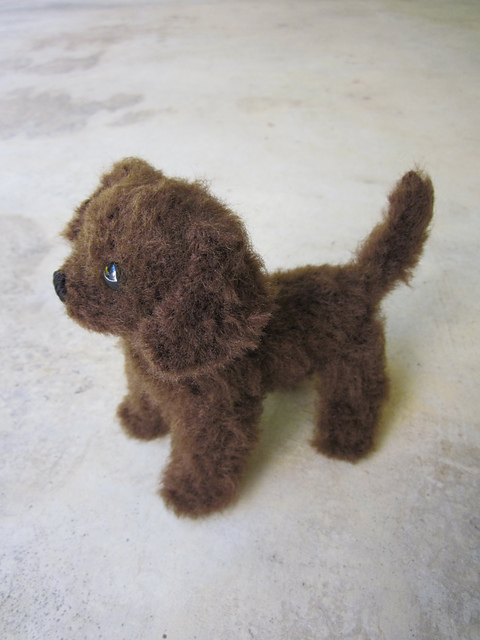 Labrador Puppy