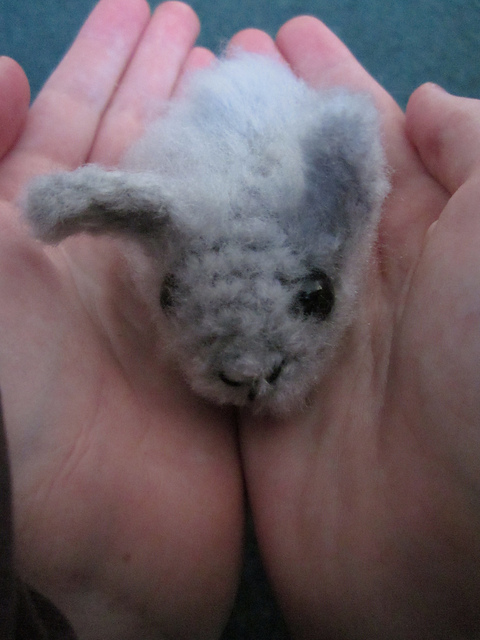 Hops the Bunny Rabbit
